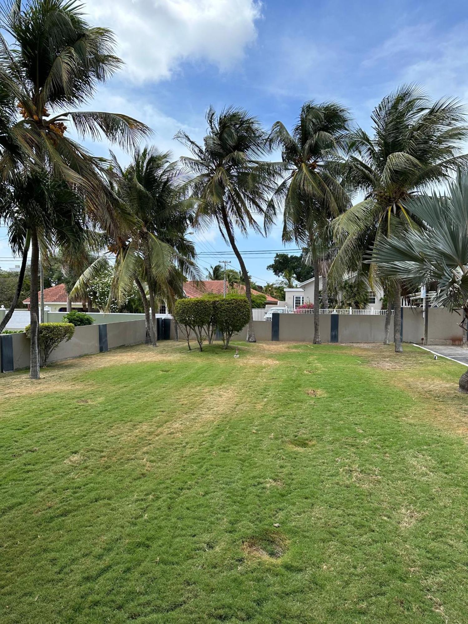 Windmill Apartments Curacao Willemstad Exteriör bild
